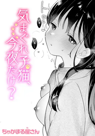 気まぐれ子猫、今夜だけ?